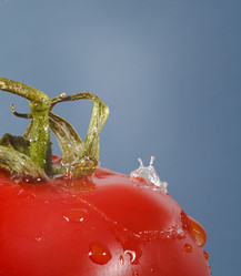 Similar image 11461100