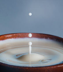 Similar image 11461103