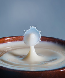 Similar image 11461166