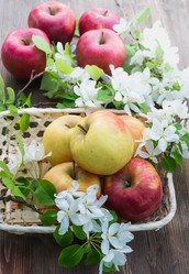 Similar image 11465116