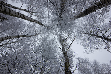 Similar image 11458974