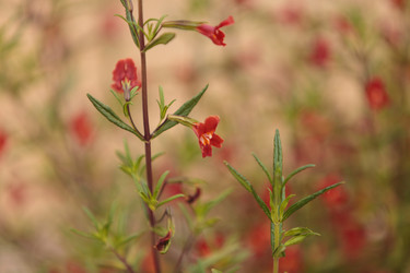 Similar image 11460711