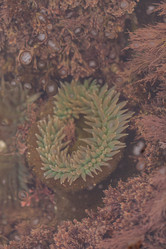 Similar image 11460712