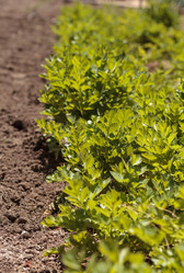 Similar image 11461361