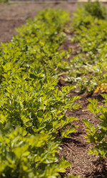 Similar image 11461363