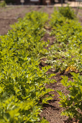 Similar image 11460722