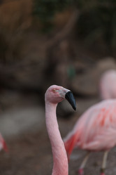 Similar image 11461365