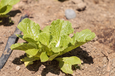 Similar image 11461369