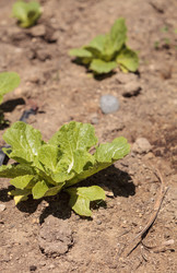 Similar image 11461371