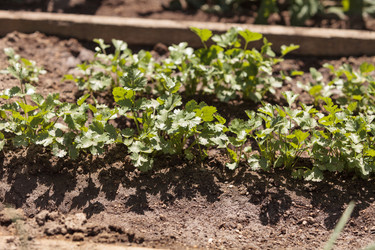 Similar image 11460904