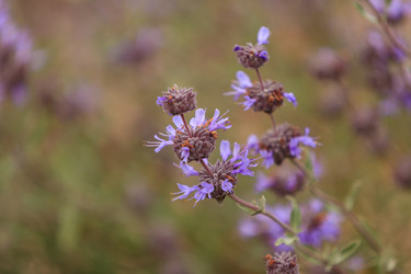 Similar image 11460848