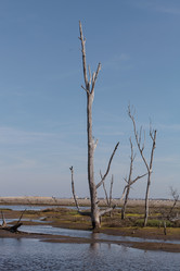 Similar image 11460937