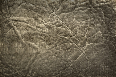 Similar image 11461384