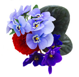 Similar image 11466246