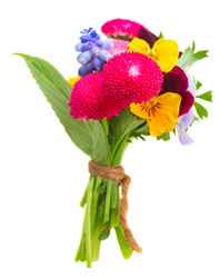 Similar image 11466247