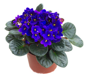 Similar image 11466249