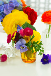 Similar image 11466251