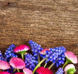 Similar image 11466252