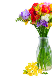 Similar image 11466061