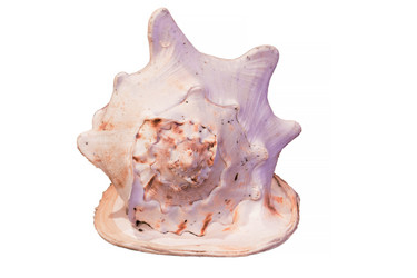 Similar image 11461243