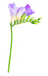 Similar image 11466049