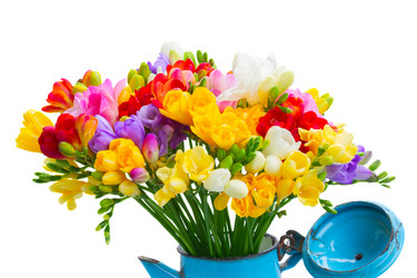 Similar image 11466050