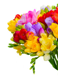 Similar image 11466051