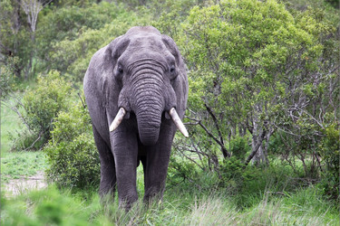 Similar image 11460700