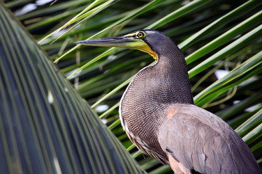 Similar image 11460731