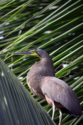 Similar image 11460734