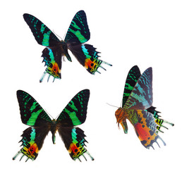 Similar image 11466084