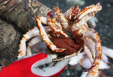 Similar image 11460744