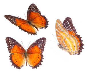 Similar image 11466085