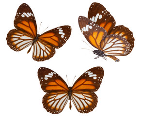 Similar image 11466086