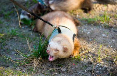 Similar image 11465403