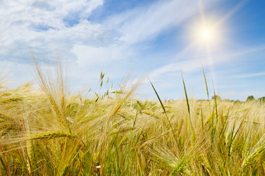 Similar image 11465258