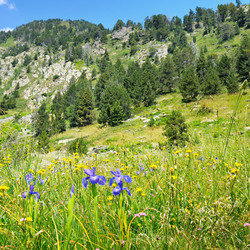 Similar image 11465259