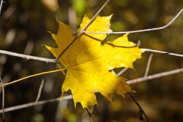 Similar image 11465260