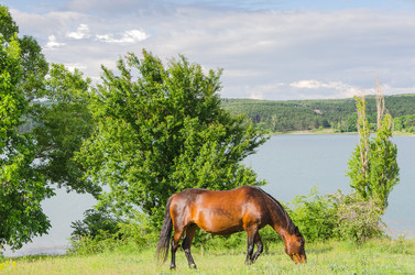 Similar image 11465105