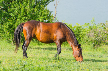 Similar image 11465117