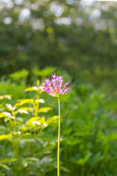 Similar image 11464548