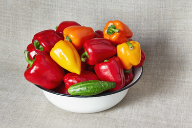 Similar image 11460500