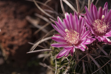 Similar image 11465762