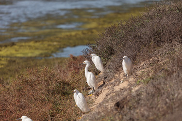 Similar image 11465781