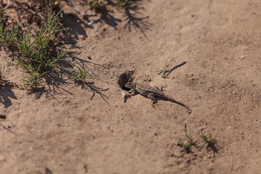 Similar image 11465785