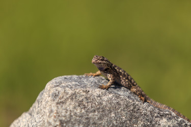 Similar image 11465787