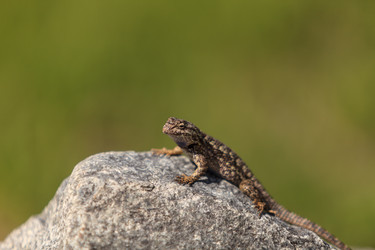 Similar image 11465079