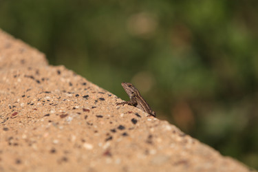 Similar image 11465081