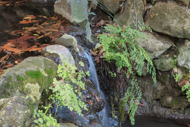 Similar image 11465087