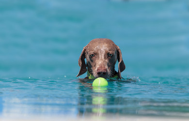 Similar image 11465739